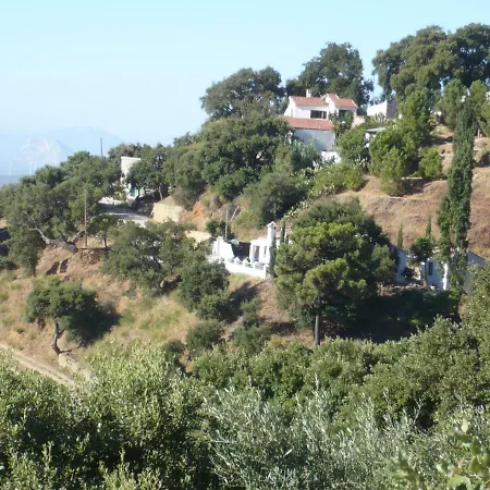 Cerezas