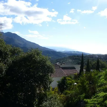 Cerezas Villa Casares